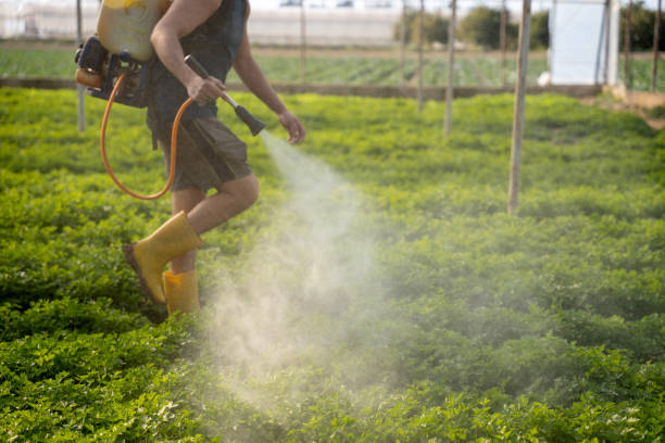 Best Pest Prevention Services  in Northfield, KY